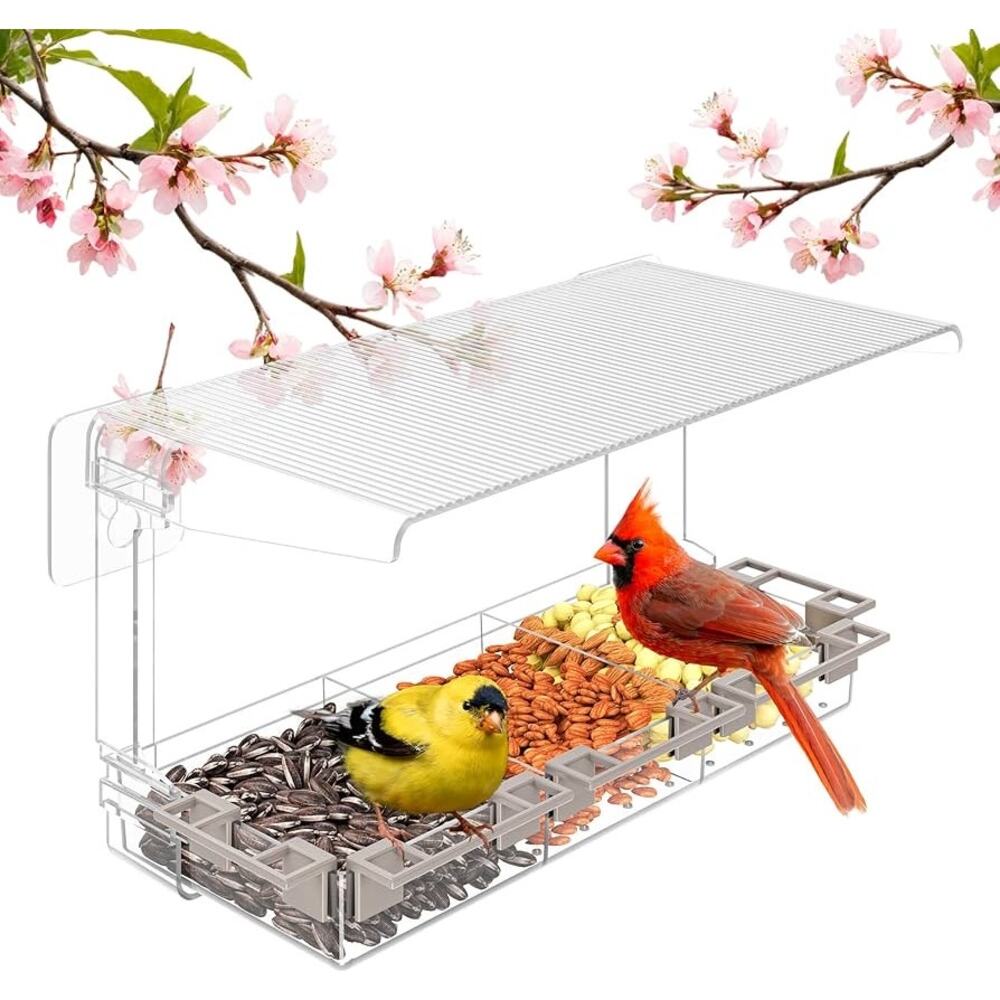 Clear Window Bird Feeder Outdoors